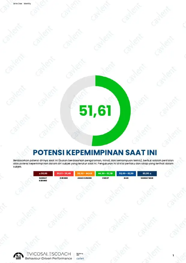 Contoh halaman Leadership Capacity
