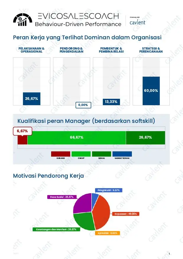 Contoh halaman Organisational Mapping — Summary